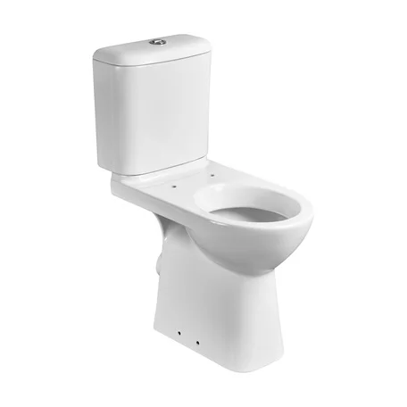 Бачок для унитаза ROCA ACCESS ZRU9307906 3/6 л нижний подвод (белый) ZRU9307906