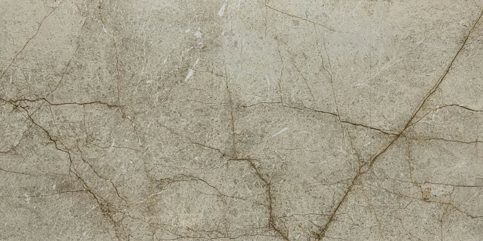 Керамогранит 120*60 FKSY612005