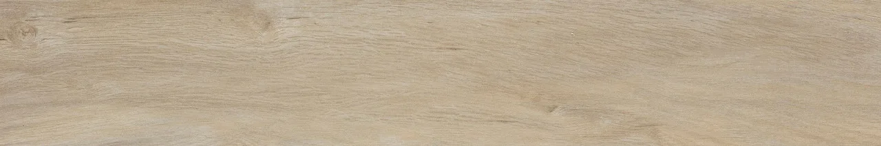 Leccio Gentile Ret (I Lecci) 20x120 00-00049217