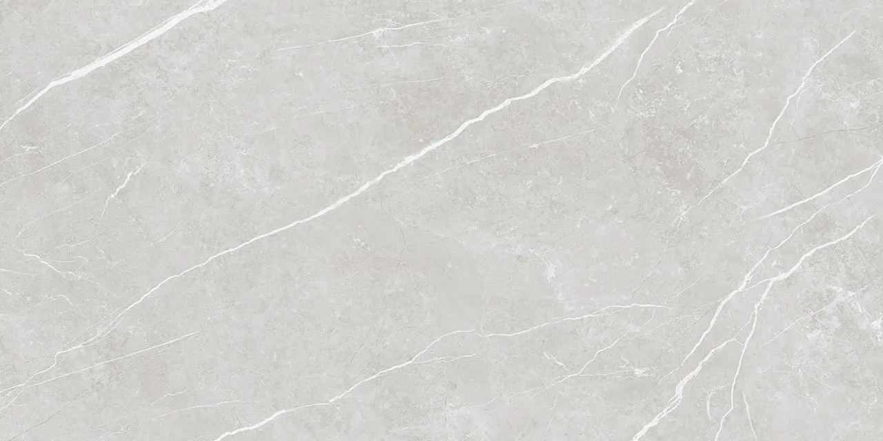Elite Silver Pul 60x120 ЦБ-00001750