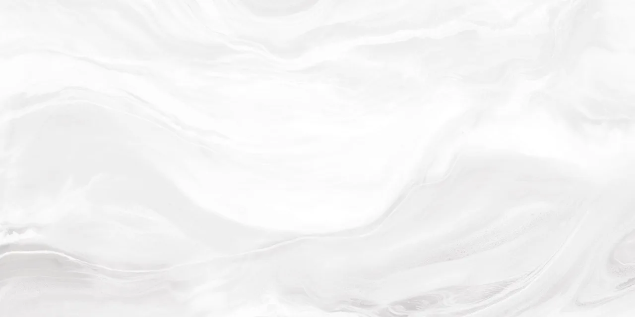 Patagonia White P 60x120 00-00050499