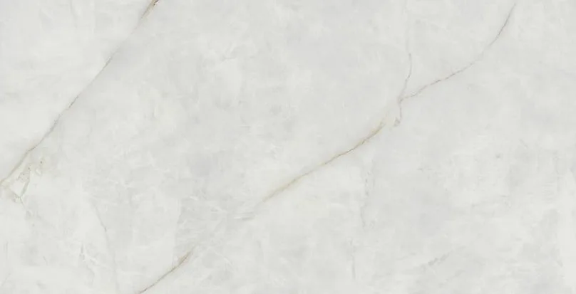 Quartz Pulido Rect 60x120 ЦБ-00001306