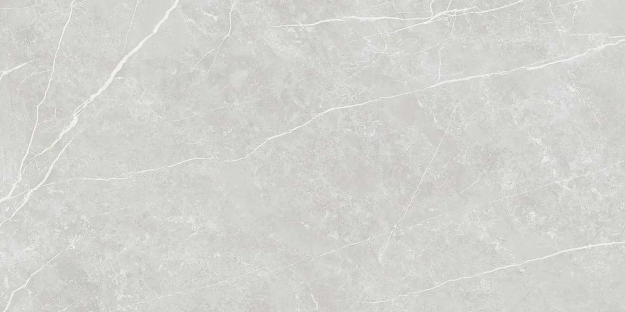 Elite Silver Matt 60x120 ЦБ-00001370