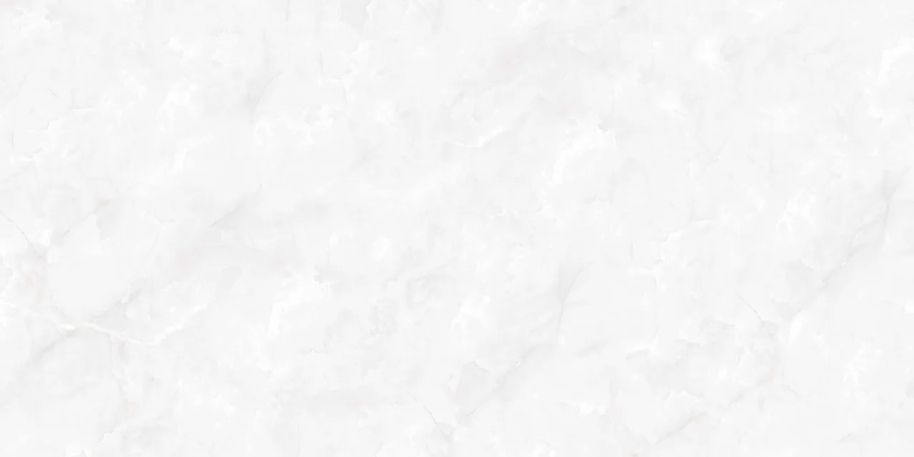 Belonia Polished 60x120 00-00048706