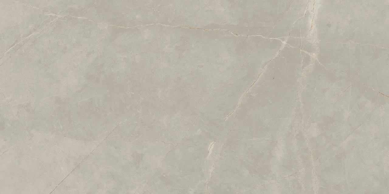 Pulpis Grey Matt 60x120 00-00050506