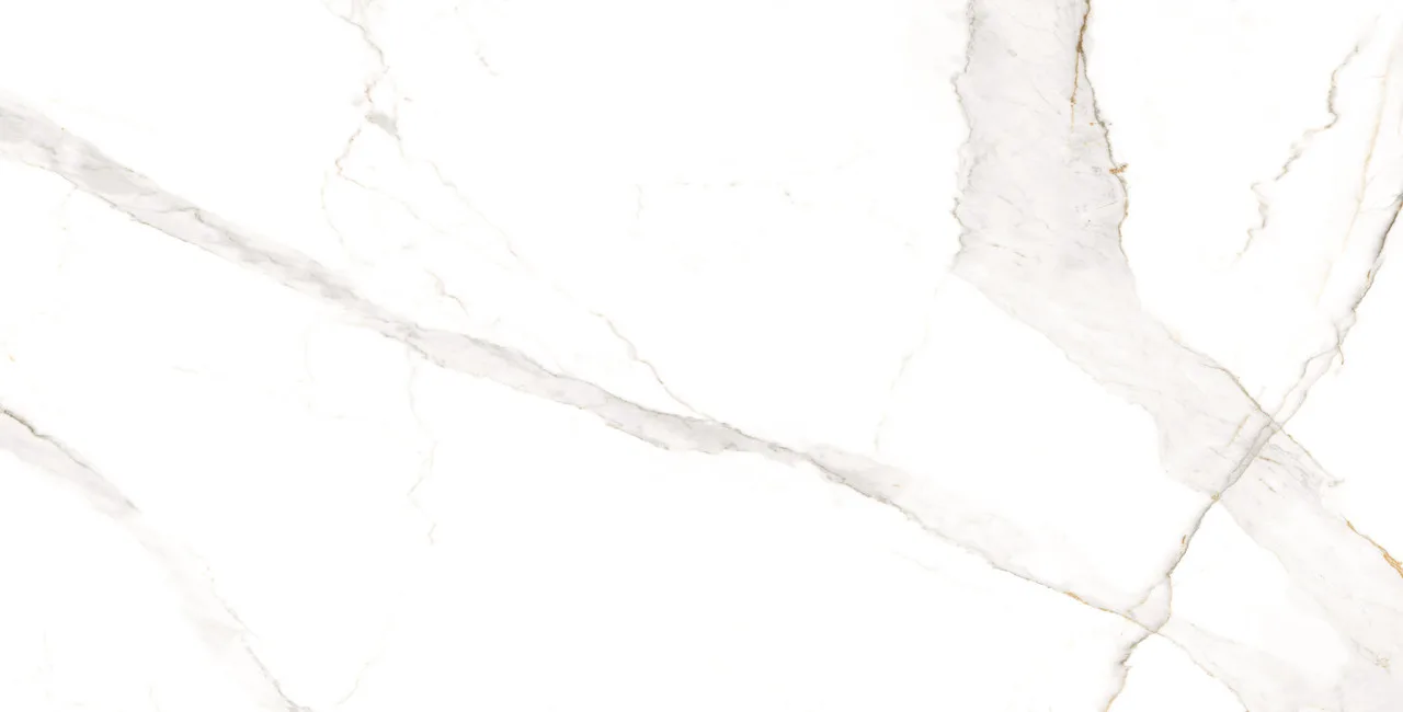 Calcatta White Carving Rectificado 60x120 УТ-00012805