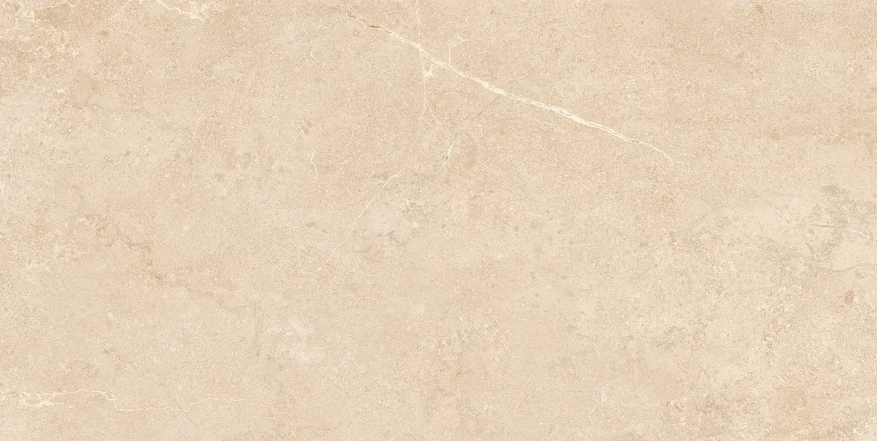 Basalt Beige Matt 60x120 ЦБ-00002207