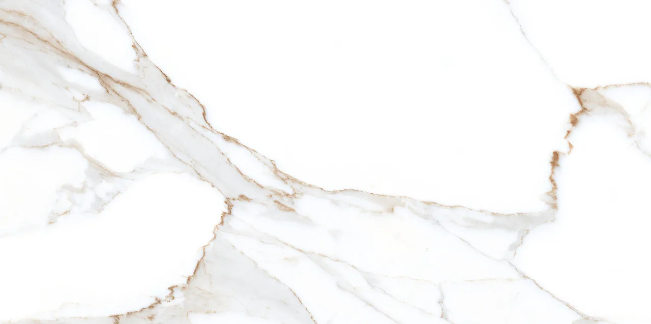 Alex Calacatta Polished 60x120 00-00050086