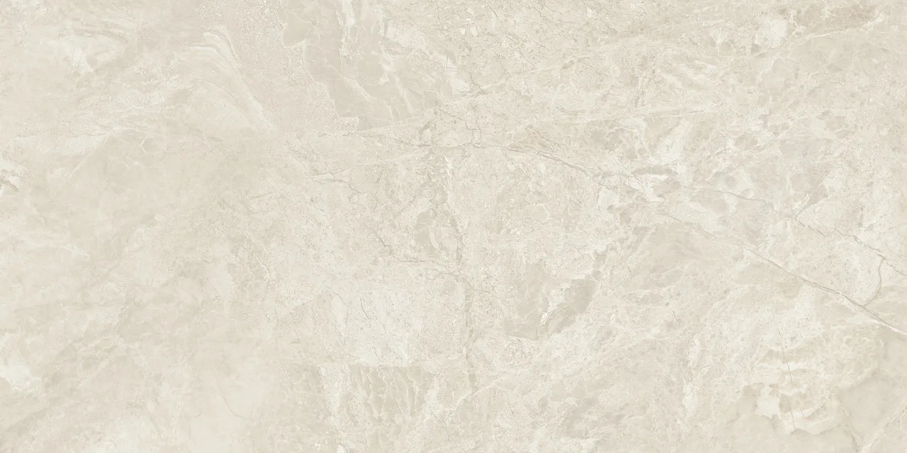 Canyon Bone Rect 60x120. Фото 1 из 1