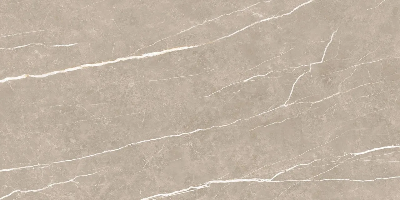 Elite Greige Matt 60x120 ЦБ-00001369