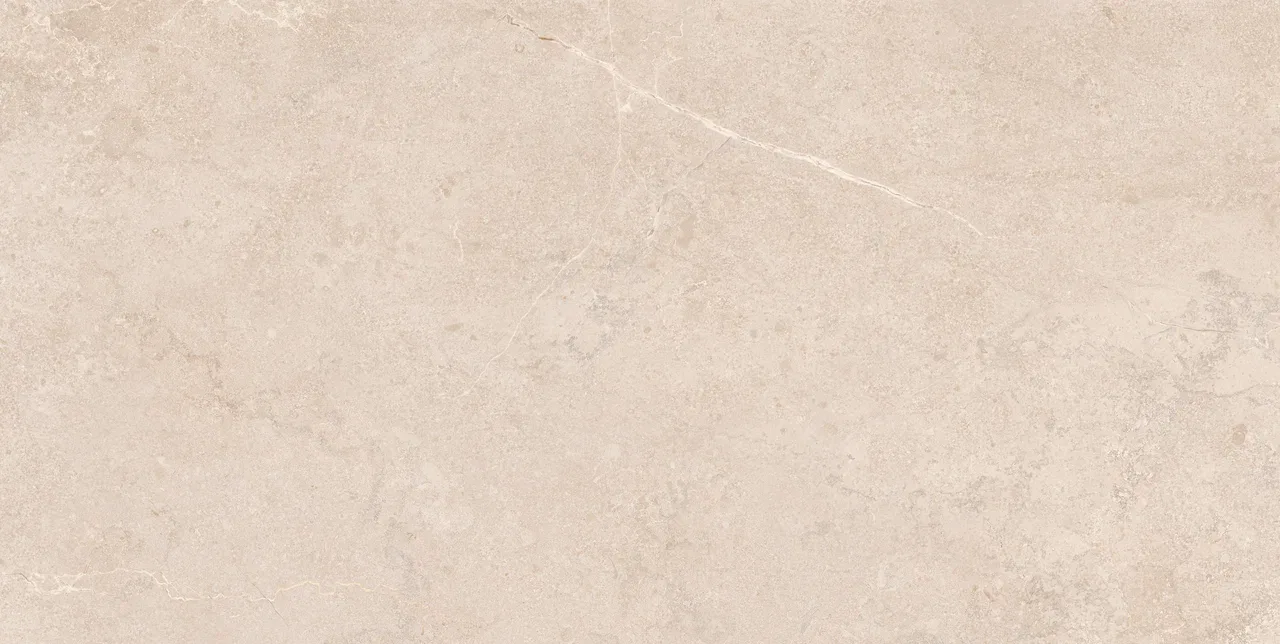 Basalt Grey Matt 60x120 ЦБ-00002206