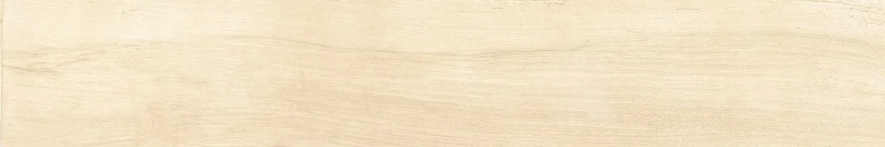 Antique Ivory Fondi Nat. Rettificat 20x120 00-00000202