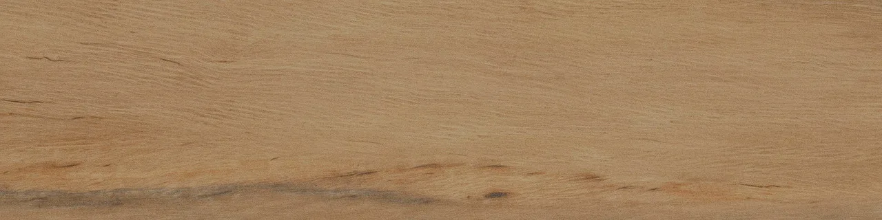 Leccio Oliato (I Lecci) 10x40 00-00049223