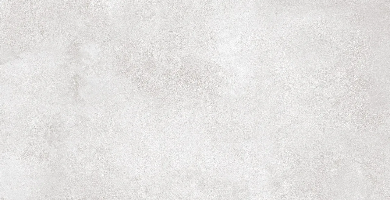 Varna Light Gray Matt 60x120 00-00048935