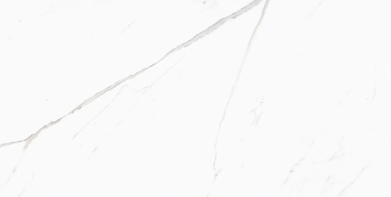 Baranello White Pulido 60x120 ЦБ-00001366