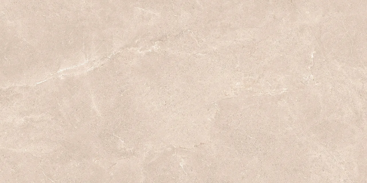 Blend Tan Rett 60x120 00-00049229