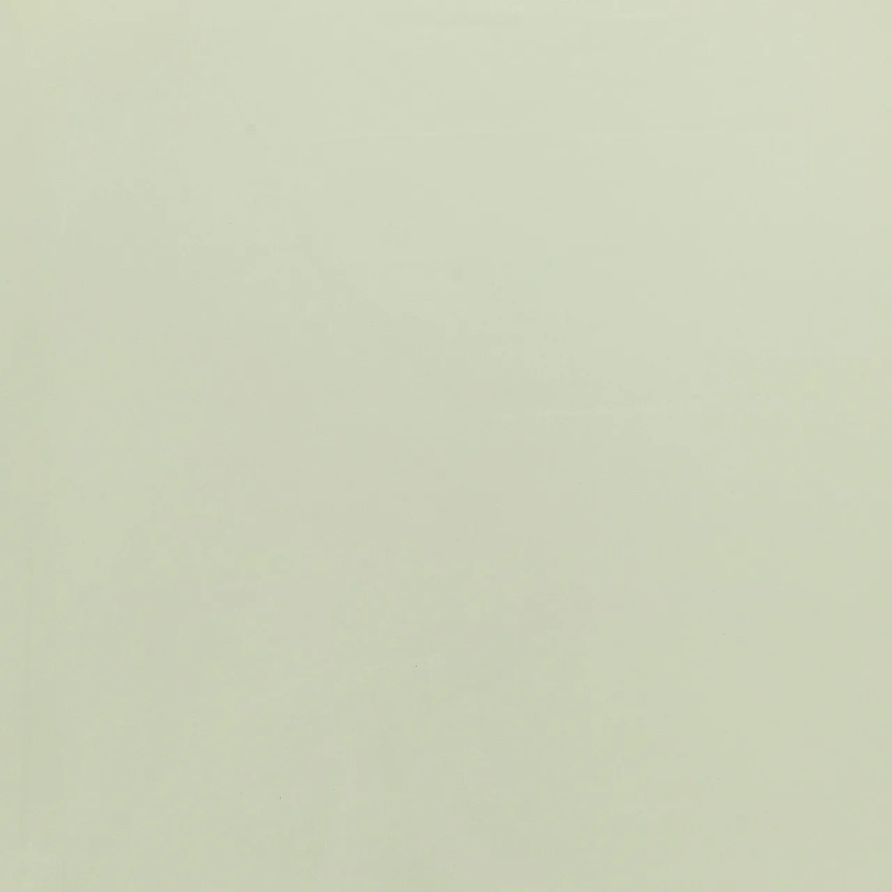 Corbian Levigato 60x60 ЦБ-00001865