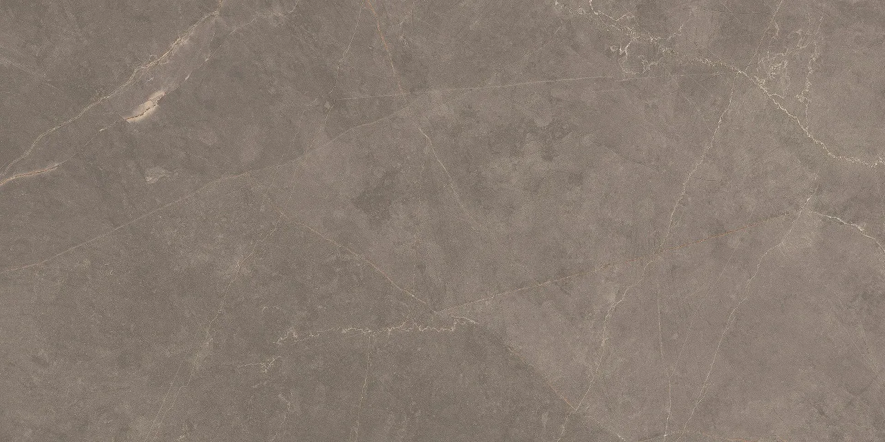 Pulpis Dark Grey Matt 60x120 00-00050507
