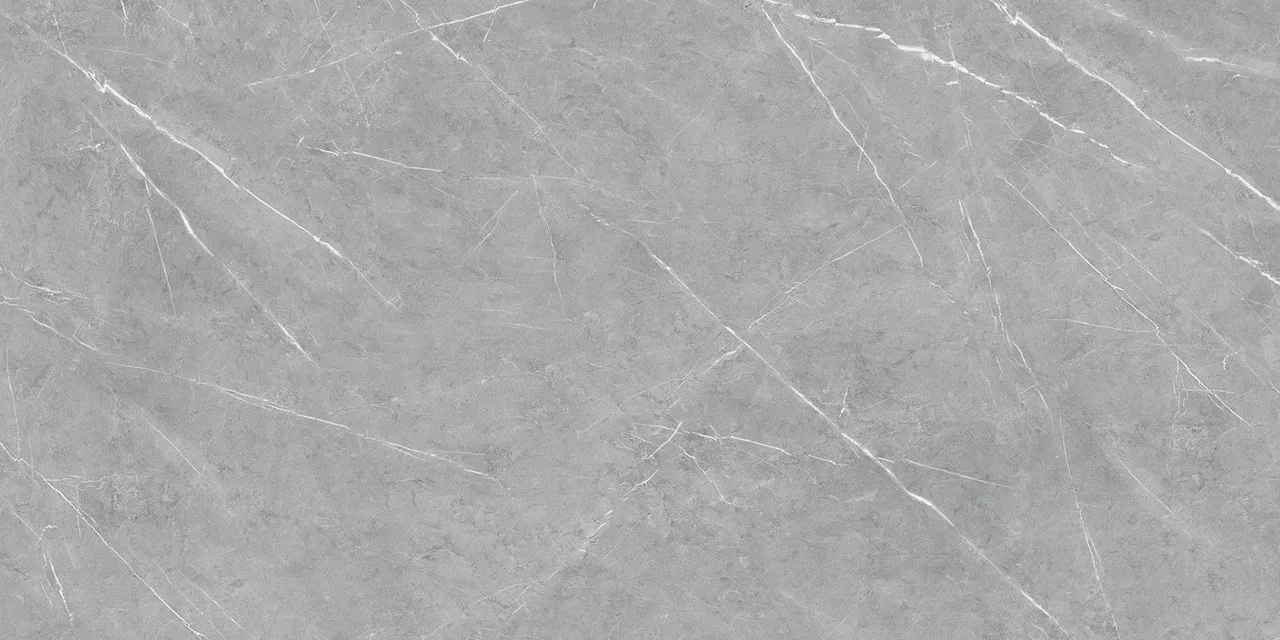Alegre Grey Matt 60x120. Фото 1 из 1