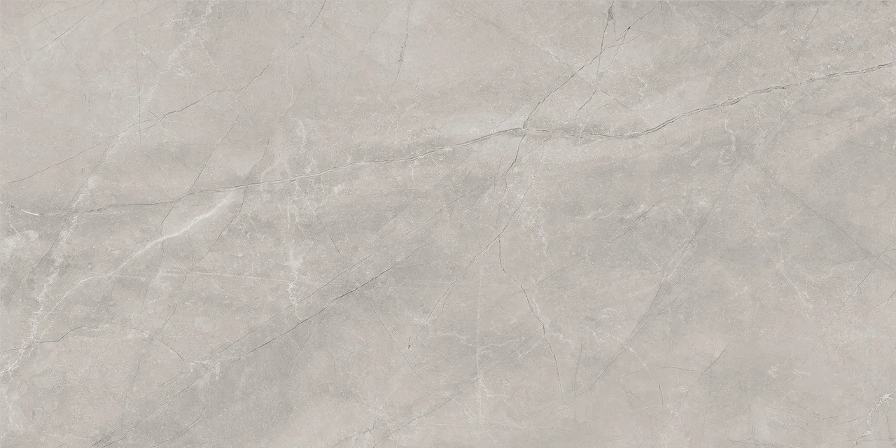 Bayona Silver Natural 60x120. Фото 1 из 1