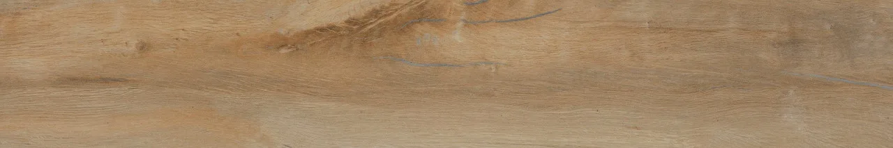 Leccio Classico Ret (I Lecci) 20x120 00-00049219