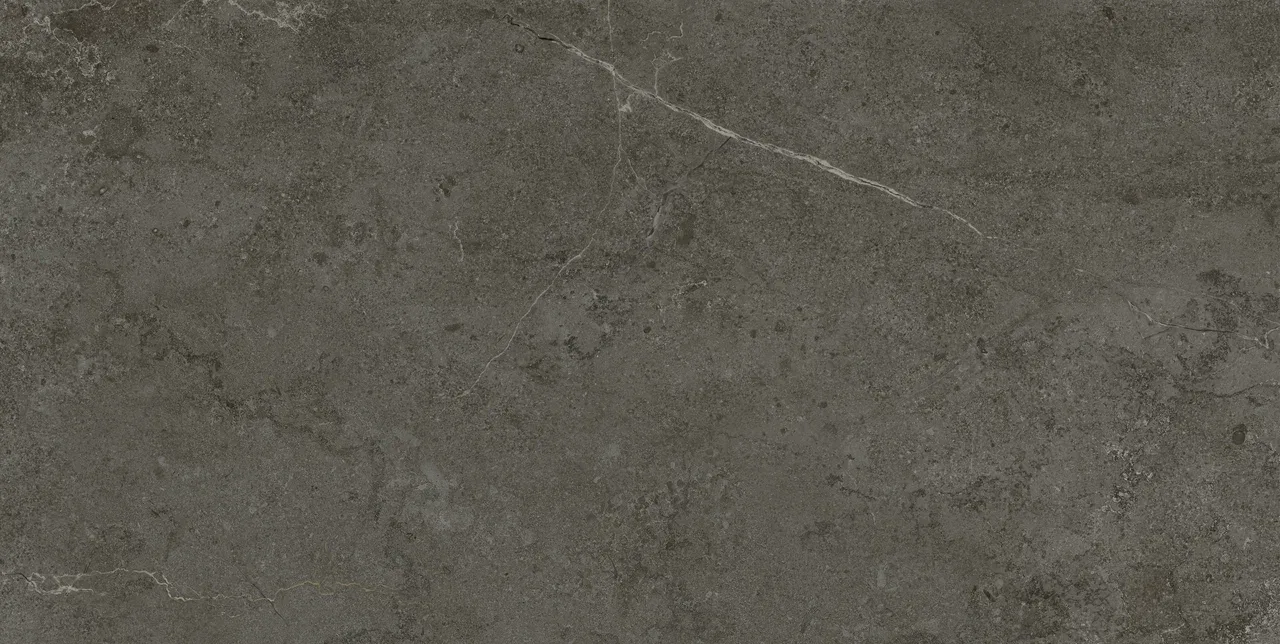 Basalt Dark Matt 60x120 ЦБ-00002208