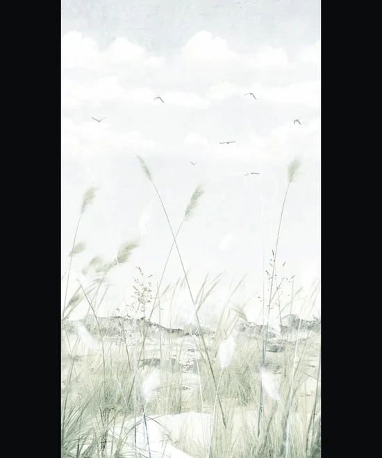 OROM II 202701 ART_AS_0051384
