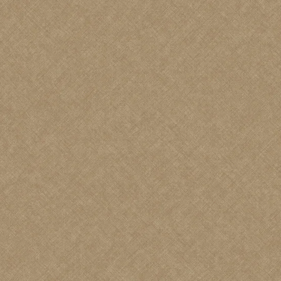 Concept CO1105. Фото 1 из 1