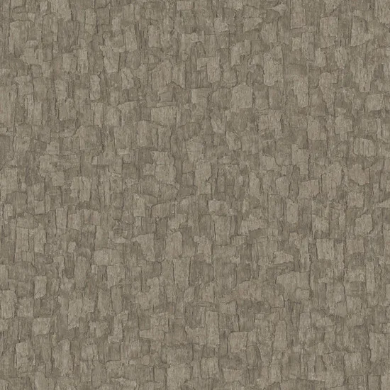 Surfaces