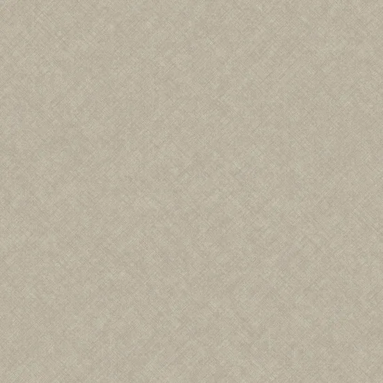 Concept CO1104. Фото 1 из 1
