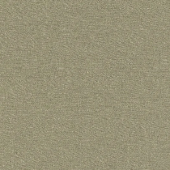 Surfaces SF1208. Фото 1 из 1