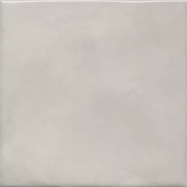 Адриатика серый глянцевый 20x20x0,69. Фото 1 из 1