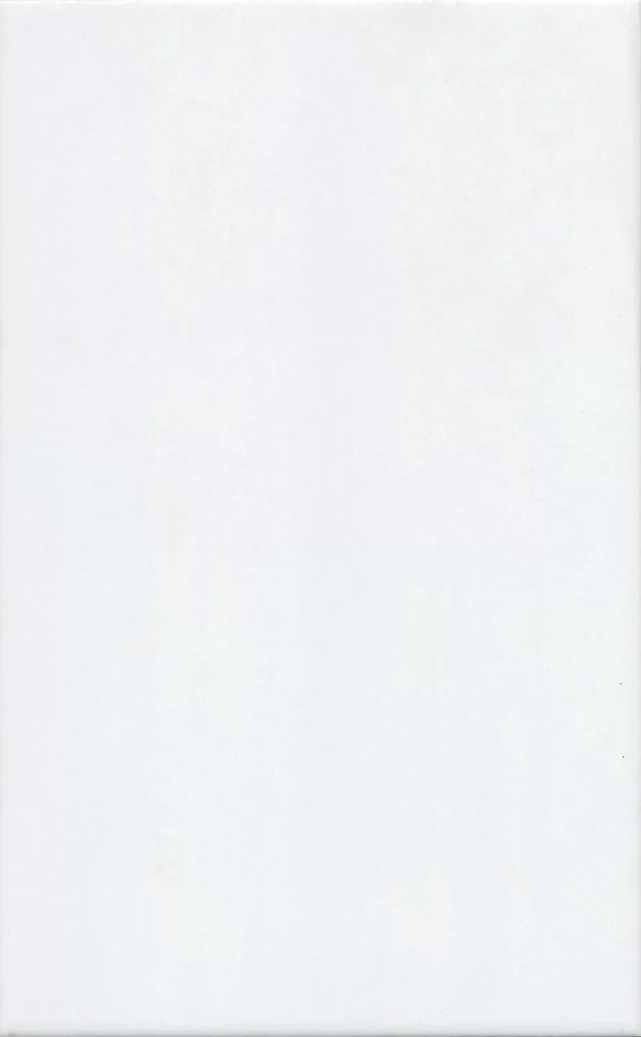 Ломбардиа белый матовый 25x40x0,8 6397