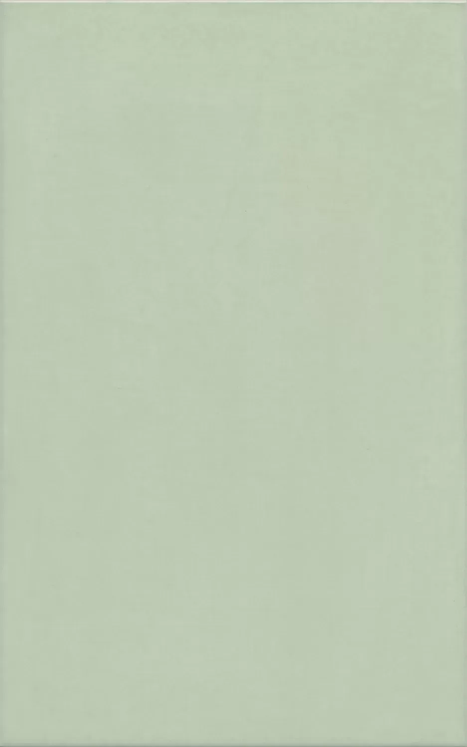 Левада зеленый светлый глянцевый 25x40x0,8. Фото 1 из 1