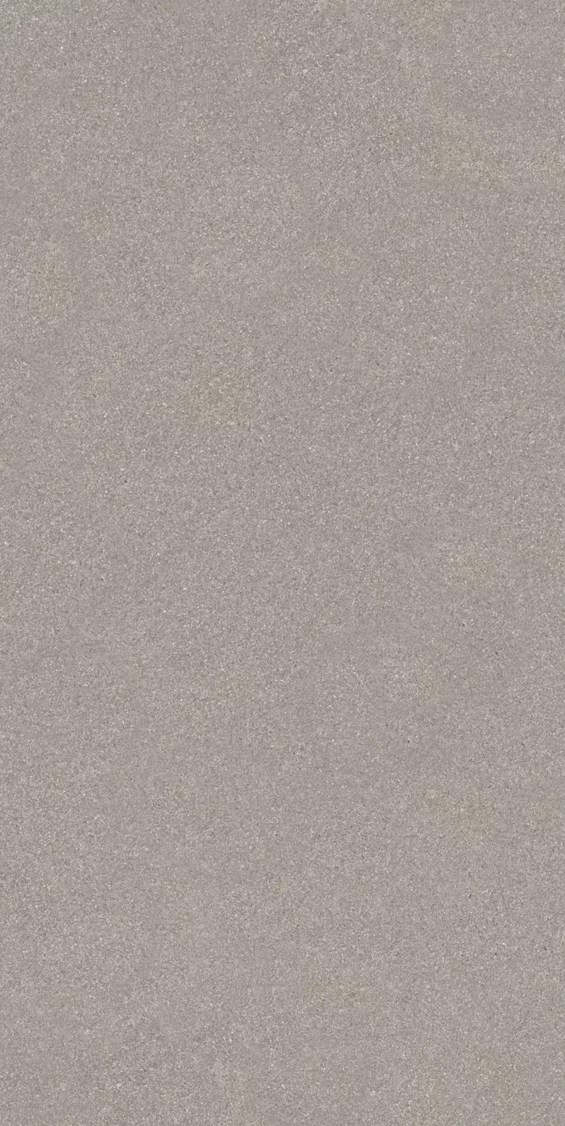 Рабат серый матовый обрезной 30x60x0,9. Фото 1 из 1