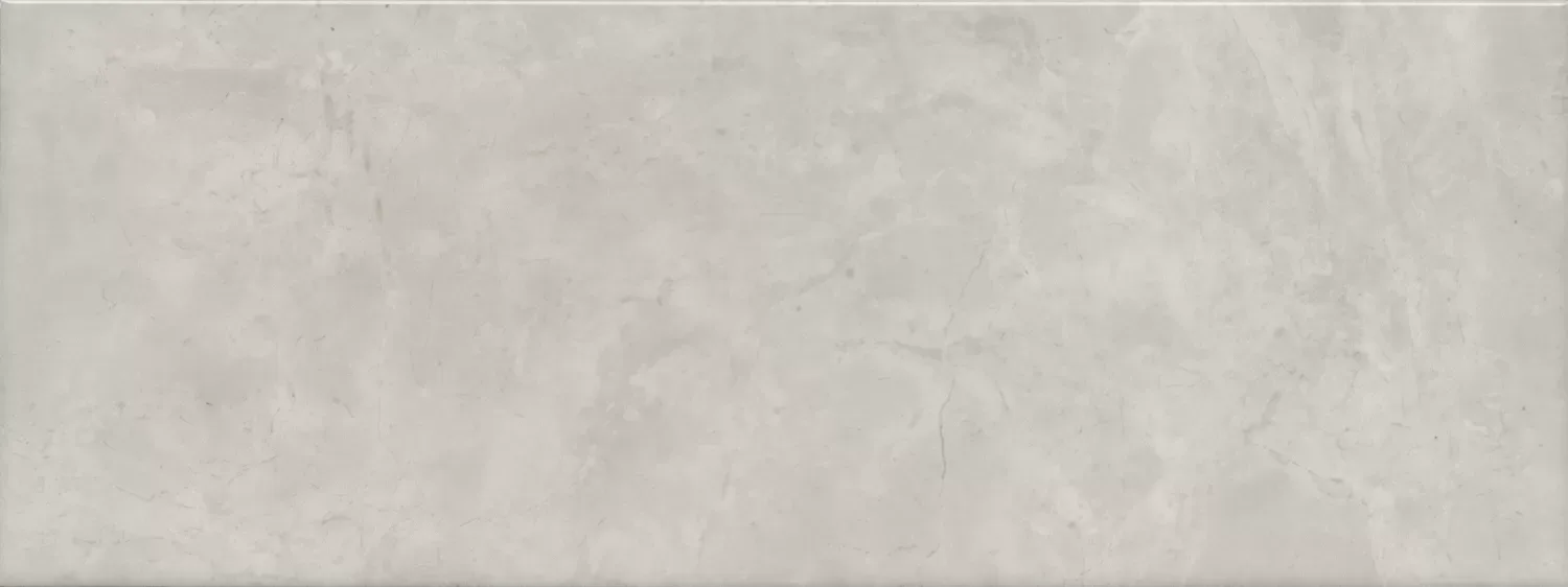 Монсанту серый светлый глянцевый 15x40x0,8. Фото 1 из 1