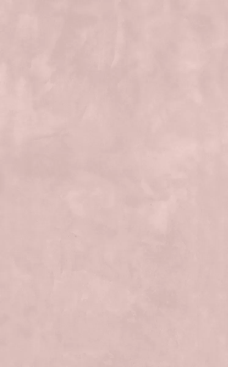 Фоскари розовый глянцевый 25x40x0,8. Фото 1 из 1