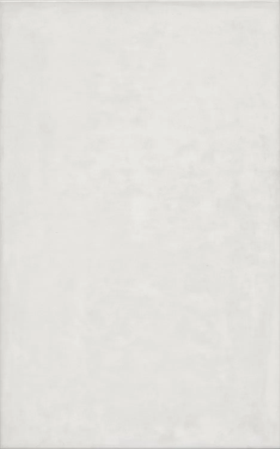 Левада серый светлый глянцевый 25x40x0,8. Фото 1 из 1