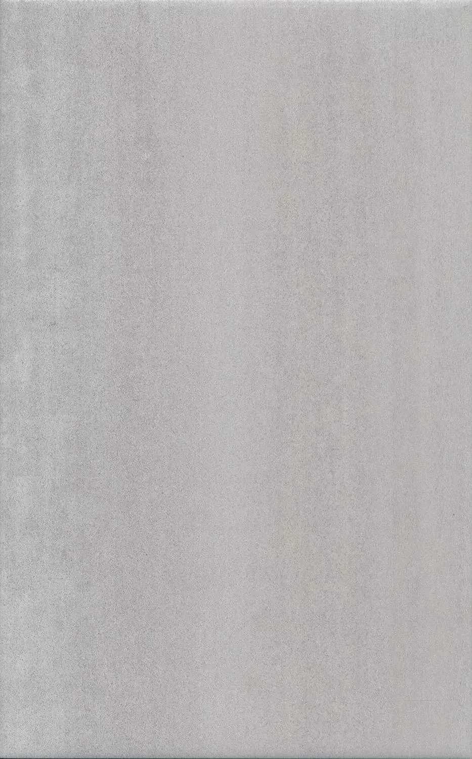 Ломбардиа серый матовый 25x40x0,8