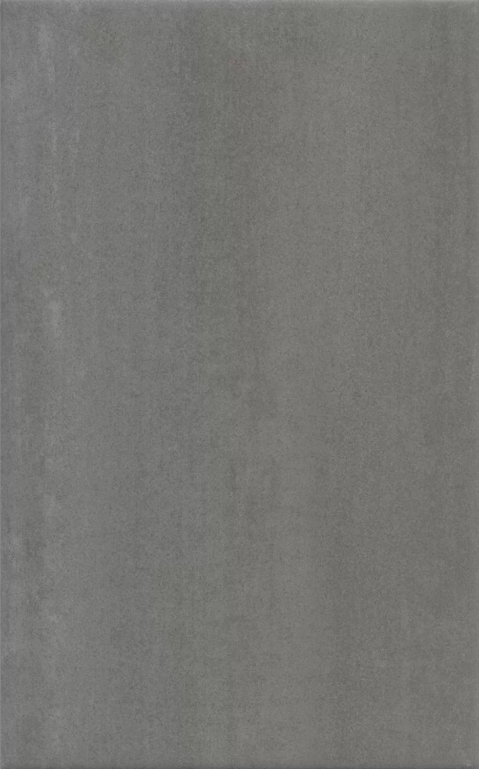 Ломбардиа серый темный матовый 25x40x0,8. Фото 1 из 1