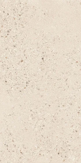 Керамогранит / 60х120 см SANT'AGOSTINO GRAVEL Large Light CSAGLL6012