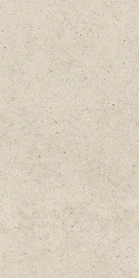 Керамогранит / 60х120 см ITALON / ИТАЛОН FORUM Stone Pure Натуральный 610010004167