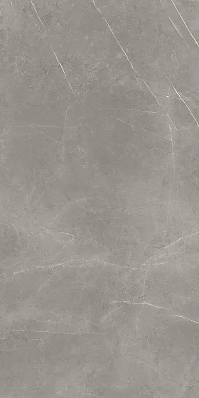 Керамогранит / 60х120 см ATLAS CONCORDE RUSSIA FORTE DEI MARMI / ФОРТЕ ДЕЙ МАРМИ Elegant Grey Сатинированная 610015000657