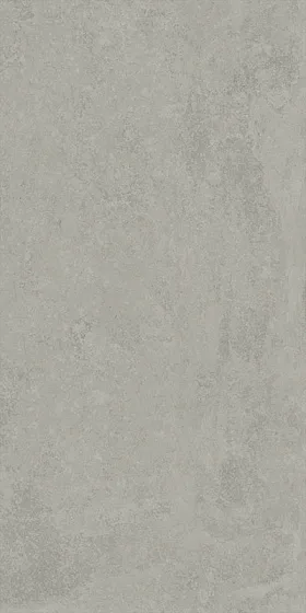 Керамогранит ITALON / ИТАЛОН TERRAVIVA Grey Матовый 610010001931