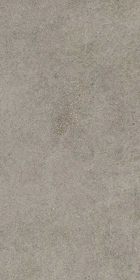 Керамогранит / 60х120 см ATLAS CONCORDE RUSSIA FORTE DEI MARMI ROCK / ФОРТЕ ДЕЙ МАРМИ РОК Lunar Grey 610010005821