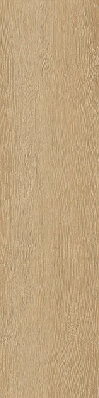 Керамогранит LASTRA 20MM для уличного применения ATLAS CONCORDE LOG SELECT Icon Flamed Outdoor 20 mm HCAD