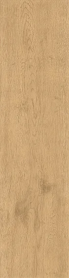 Керамогранит ATLAS CONCORDE ENTICE Pale Oak Natural 20mm A9DD