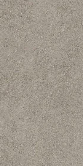 Керамогранит / 80х160 см ATLAS CONCORDE RUSSIA FORTE DEI MARMI ROCK / ФОРТЕ ДЕЙ МАРМИ РОК Lunar Grey 610010005813