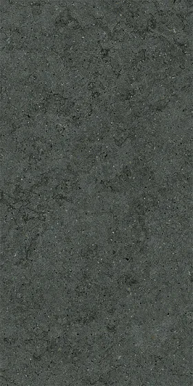 Керамогранит / 60х120 см ITALON / ИТАЛОН FORUM Stone Petrol Натуральный 610010004171