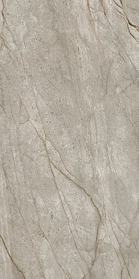 Керамогранит / 60х120 см ATLAS CONCORDE RUSSIA EMPIRE / ЭМПАИР Empire Silver Root Polished 610015000618
